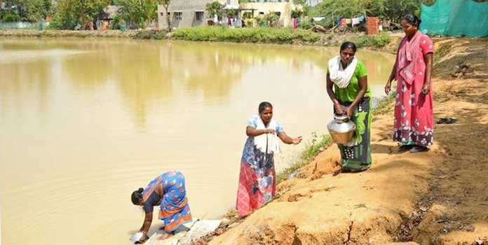 IAS Officer revived 178 ponds and tanks